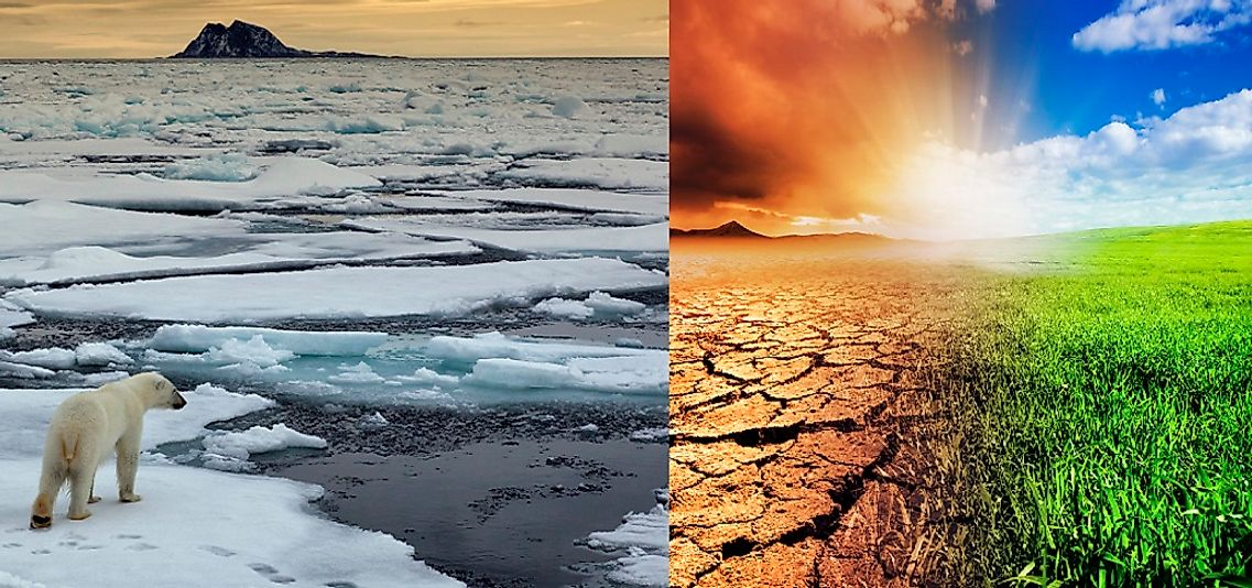 How Is Climate Change Affecting The Earth s Different Ecosystems 