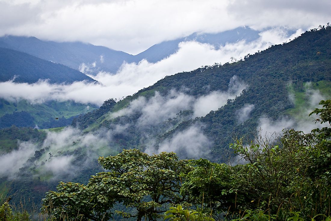 What Is A Cloud Forest? - WorldAtlas.com