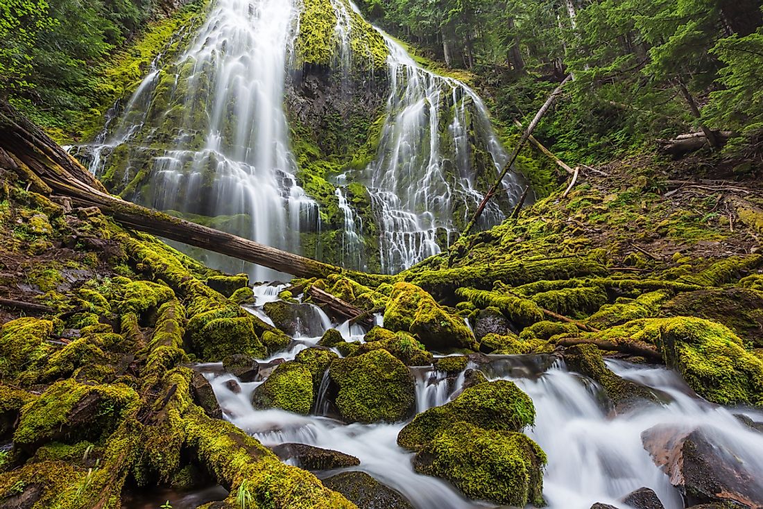 US National Forests of Oregon - WorldAtlas.com