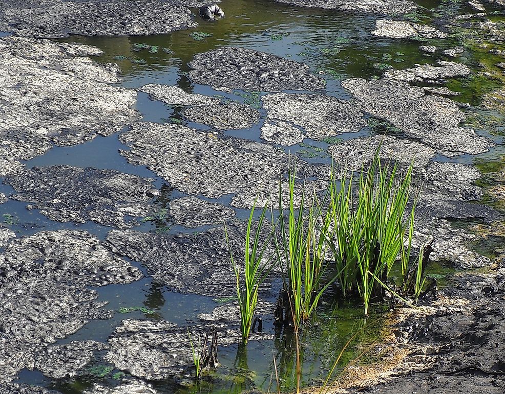 The Five Natural Asphalt Lake Areas In The World WorldAtlas