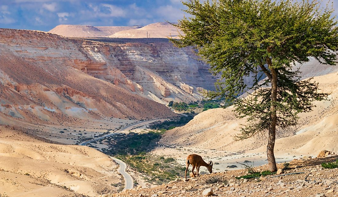 where-is-the-negev-desert-worldatlas