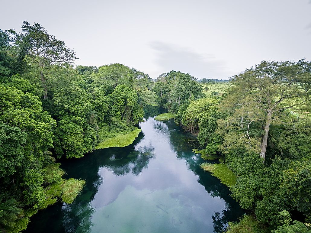 central african rainforest        
        <figure class=