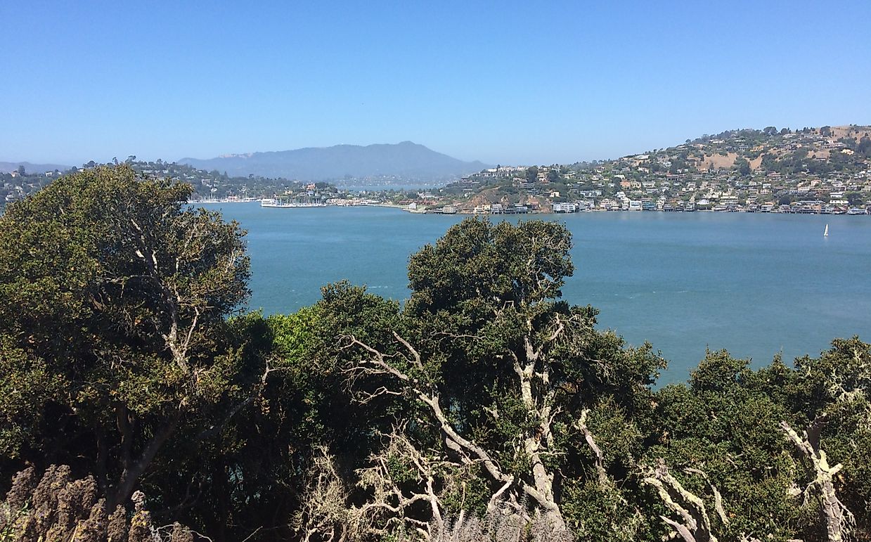 The Tiburon Island Tragedy – What Happened? - WorldAtlas.com