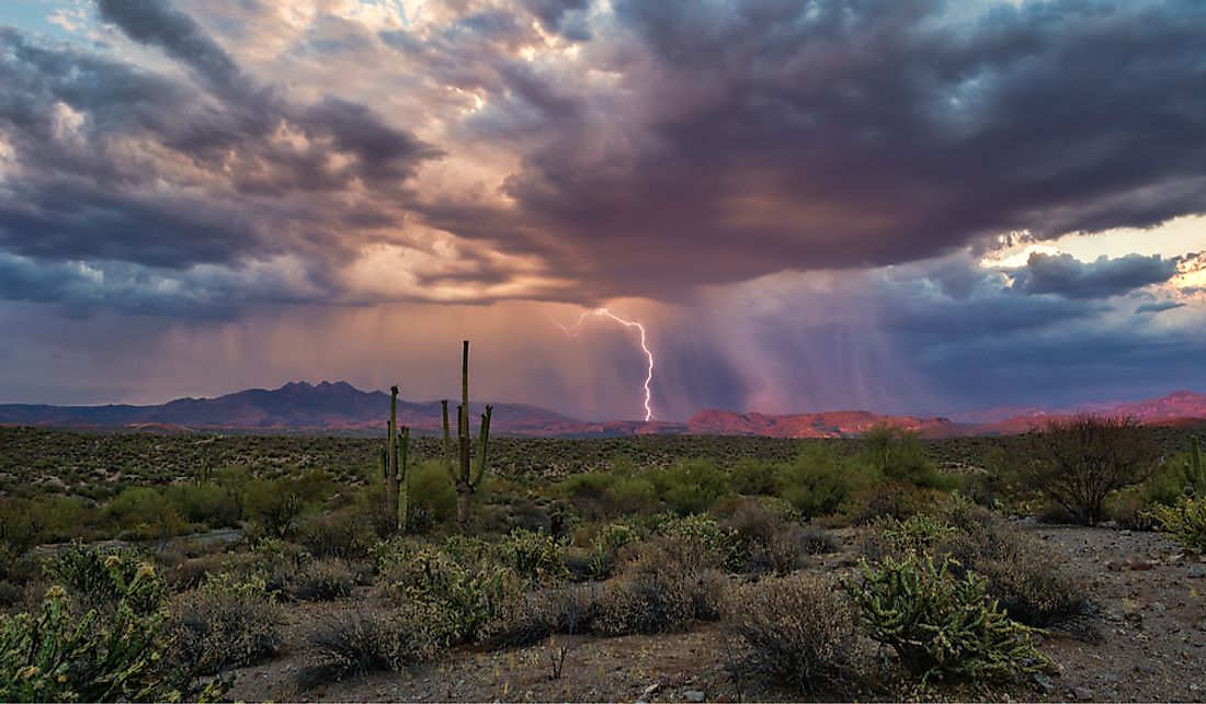 Monsoon Season 2025 Arizona Elyse Imogene