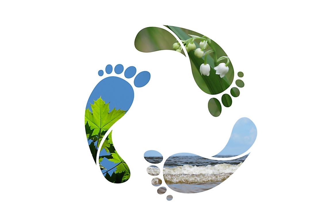 Water Footprint Definition