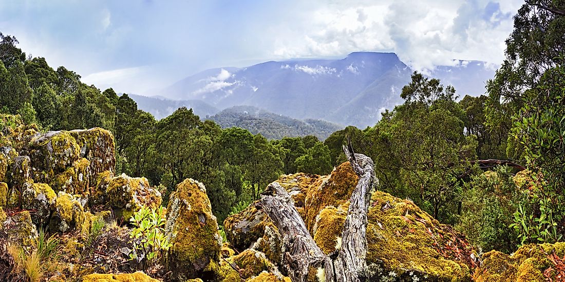 National Parks In New South Wales Australia Worldatlas Com