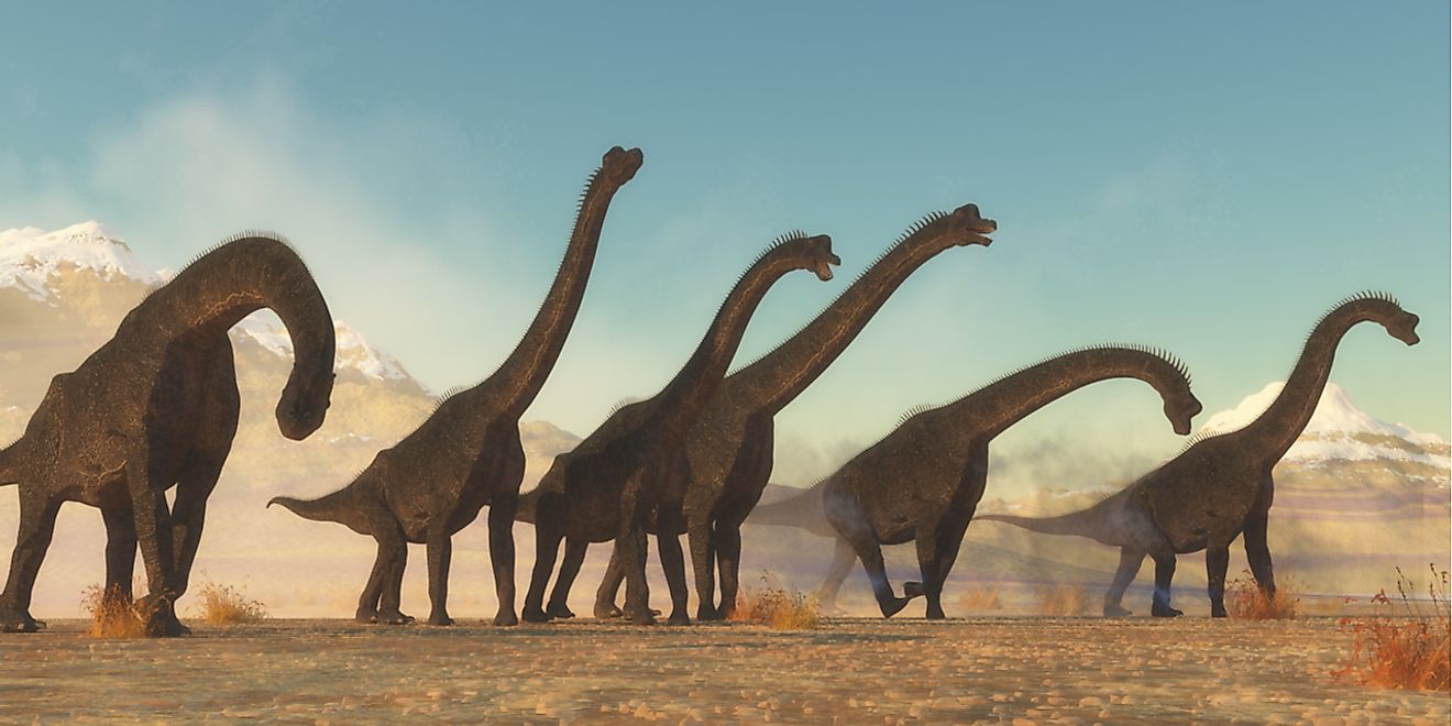 Brachiosaurus Facts: Extinct Animals Of The World - WorldAtlas.com