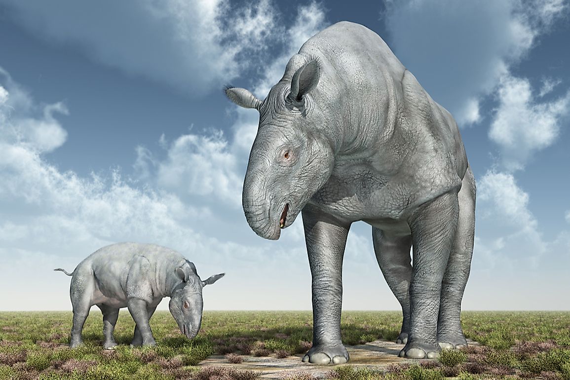 Extinct Megafauna Of The World