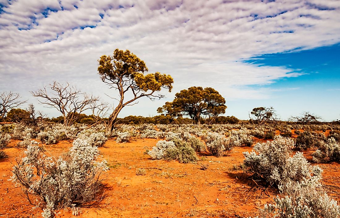 Which Is The Largest And Driest Desert In The World