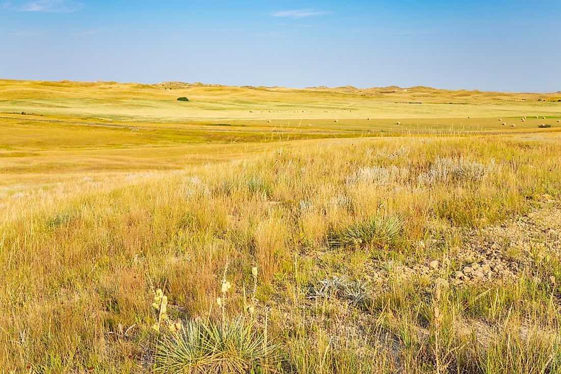 the-largest-national-grasslands-in-the-united-states-worldatlas