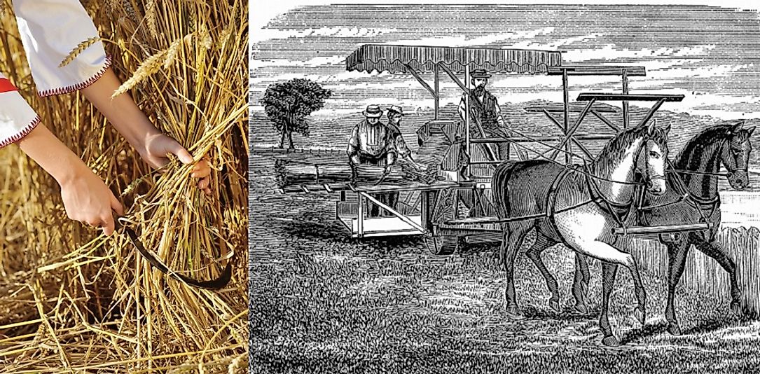 did-the-british-agricultural-revolution-lead-to-the-industrial