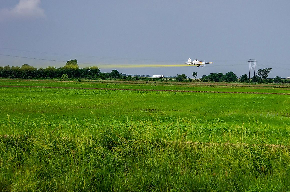 Rice Harvest in Arkansas The Leading Rice Growing States In The United States 