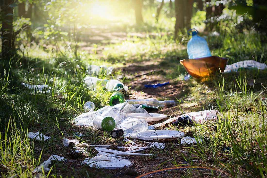 What Are The Harmful Effects Of Littering?