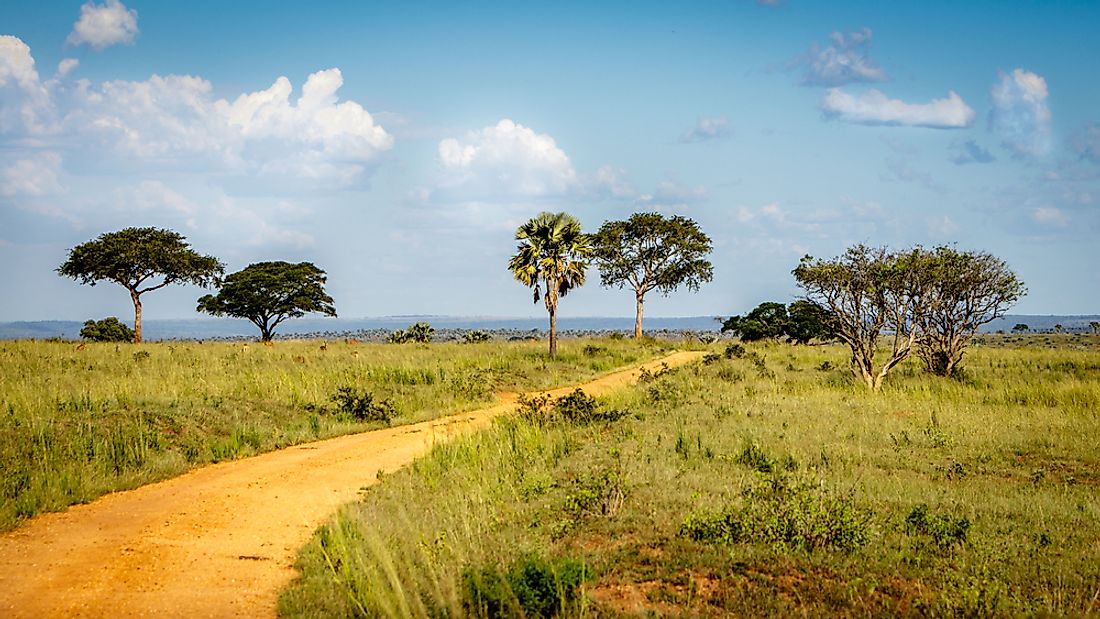 uganda-climate-change-opinion-poll-survey