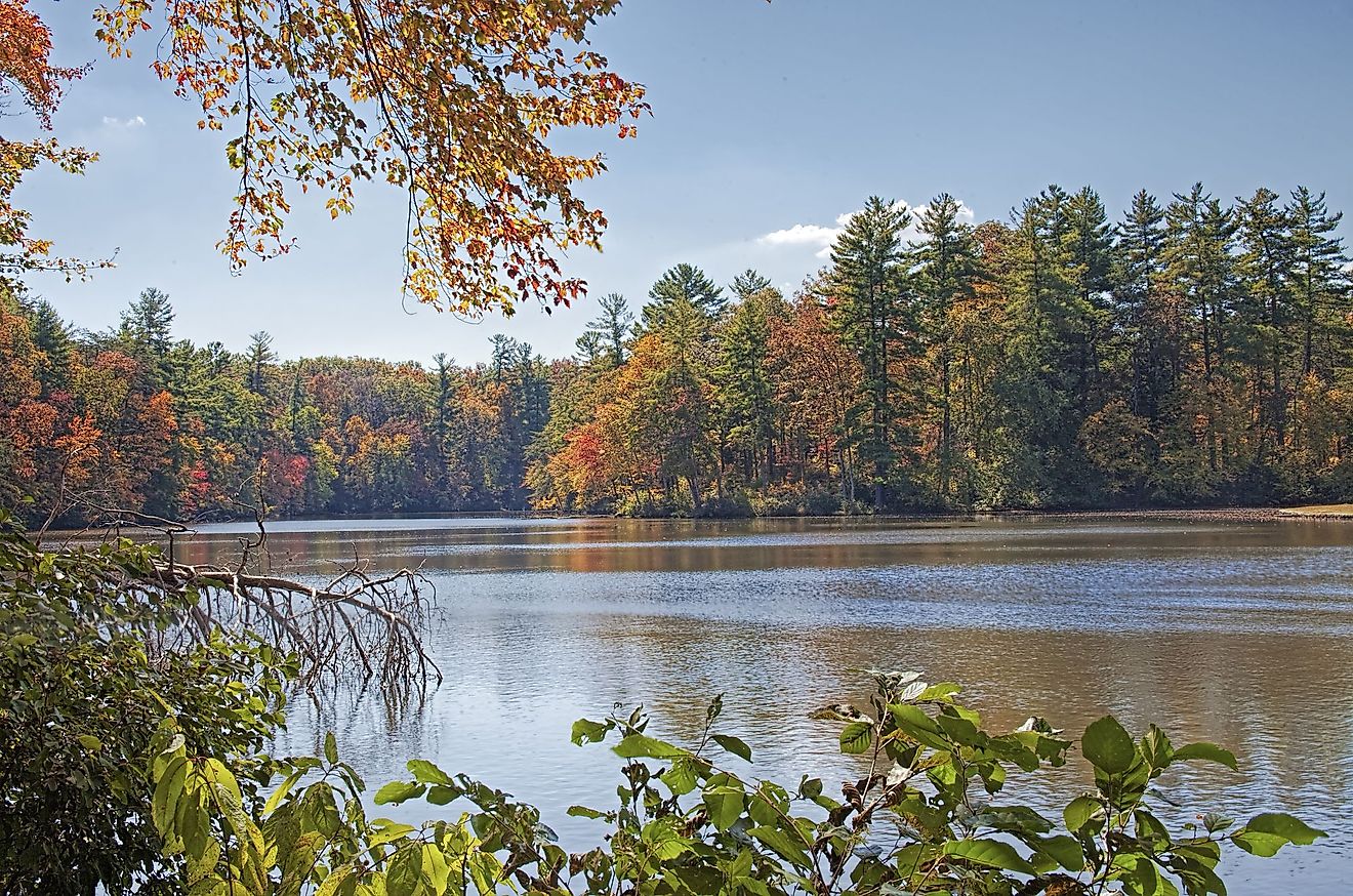 Byrd Lake, Tennessee - WorldAtlas