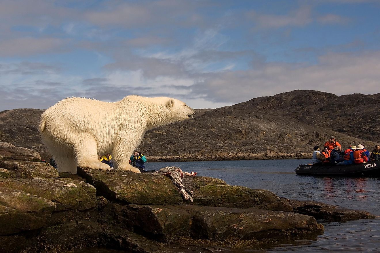 Labrador Sea WorldAtlas   Shutterstock 1714543711 