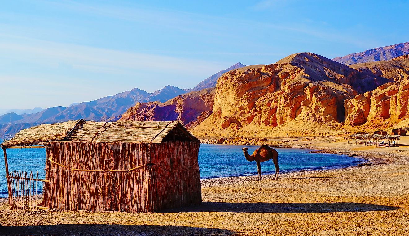 Sinai Peninsula - WorldAtlas