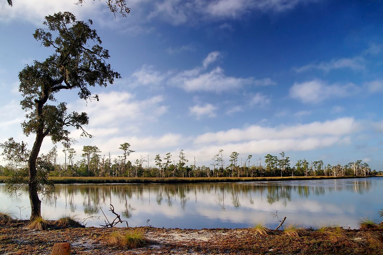 Ochlockonee River - WorldAtlas