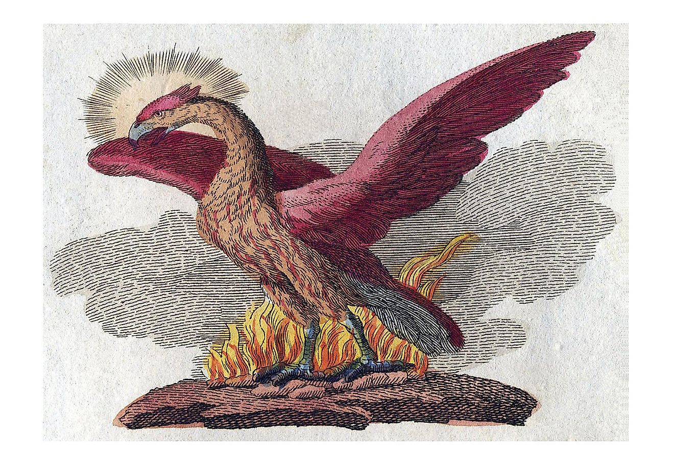 The Phoenix: How This Mythical Bird Became a Symbol of Rebirth - WorldAtlas