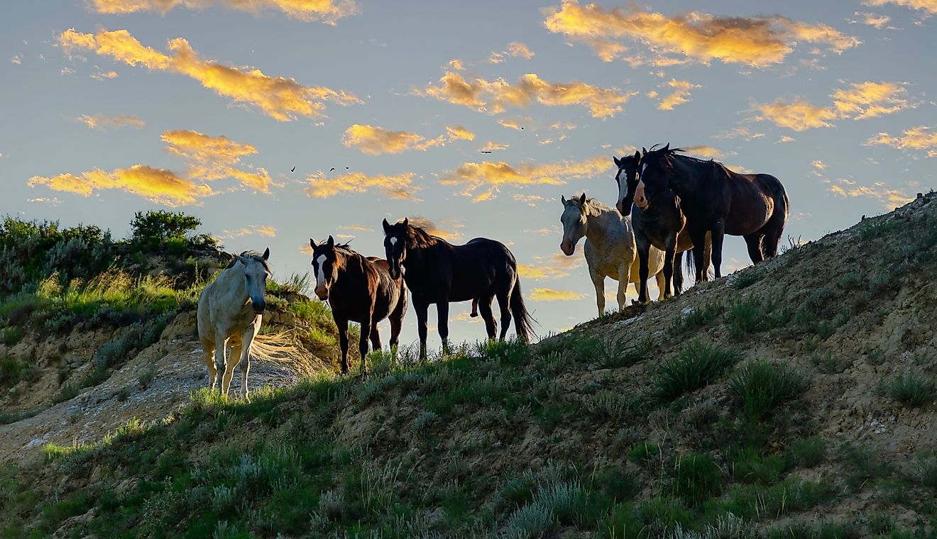 2024's 11 Most Scenic North Dakota Towns