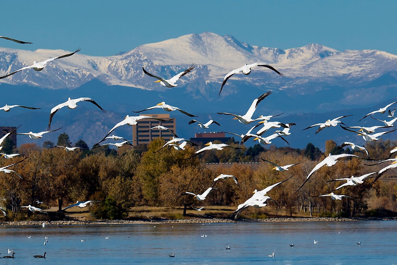 Cherry Creek Reservoir - WorldAtlas