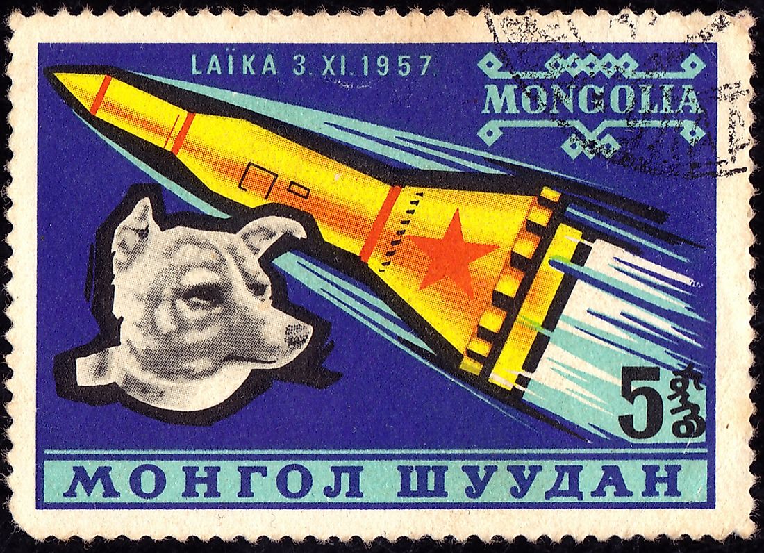 Laika: The Dog that Orbited Earth - WorldAtlas