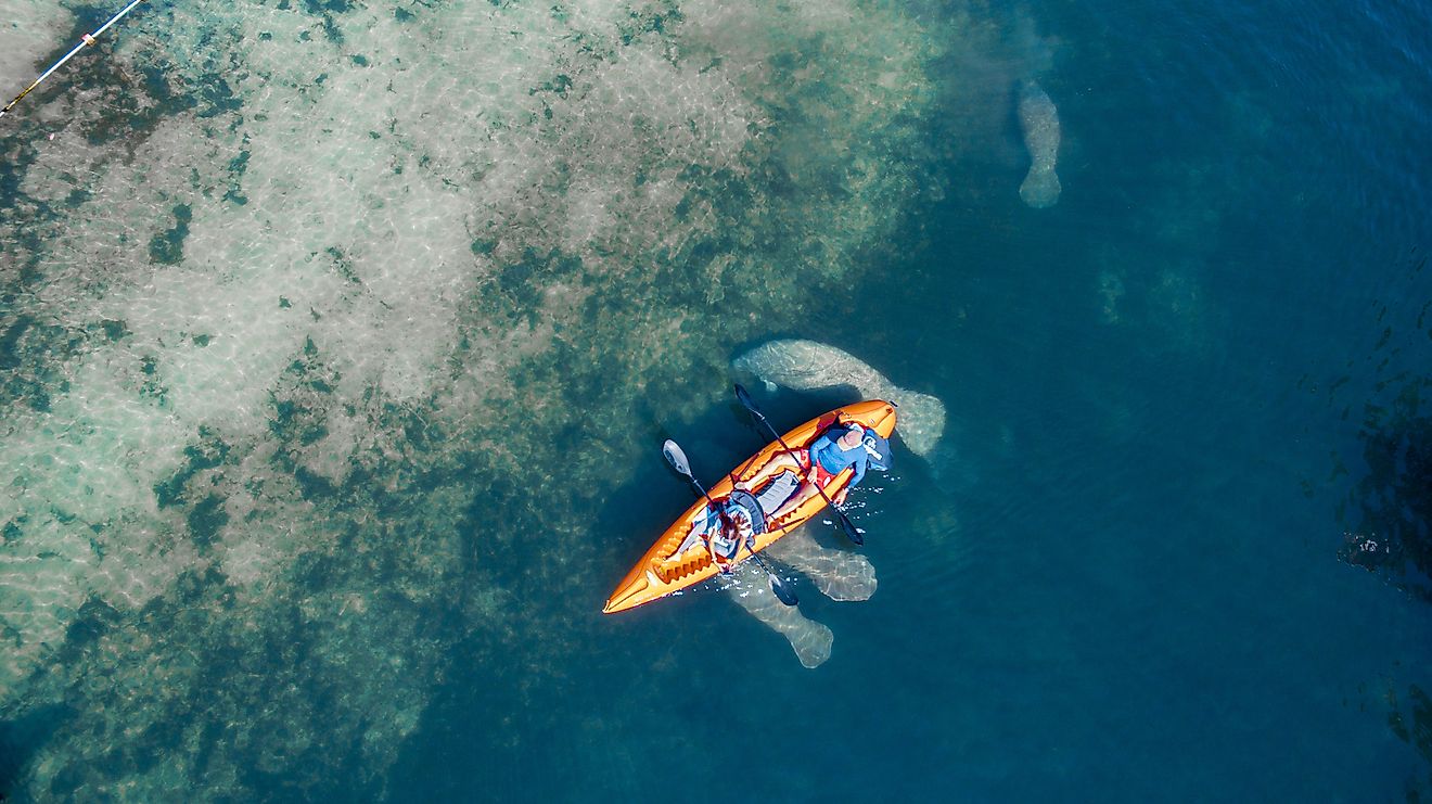 Crystal River Florida WorldAtlas   Shutterstock 605963765 