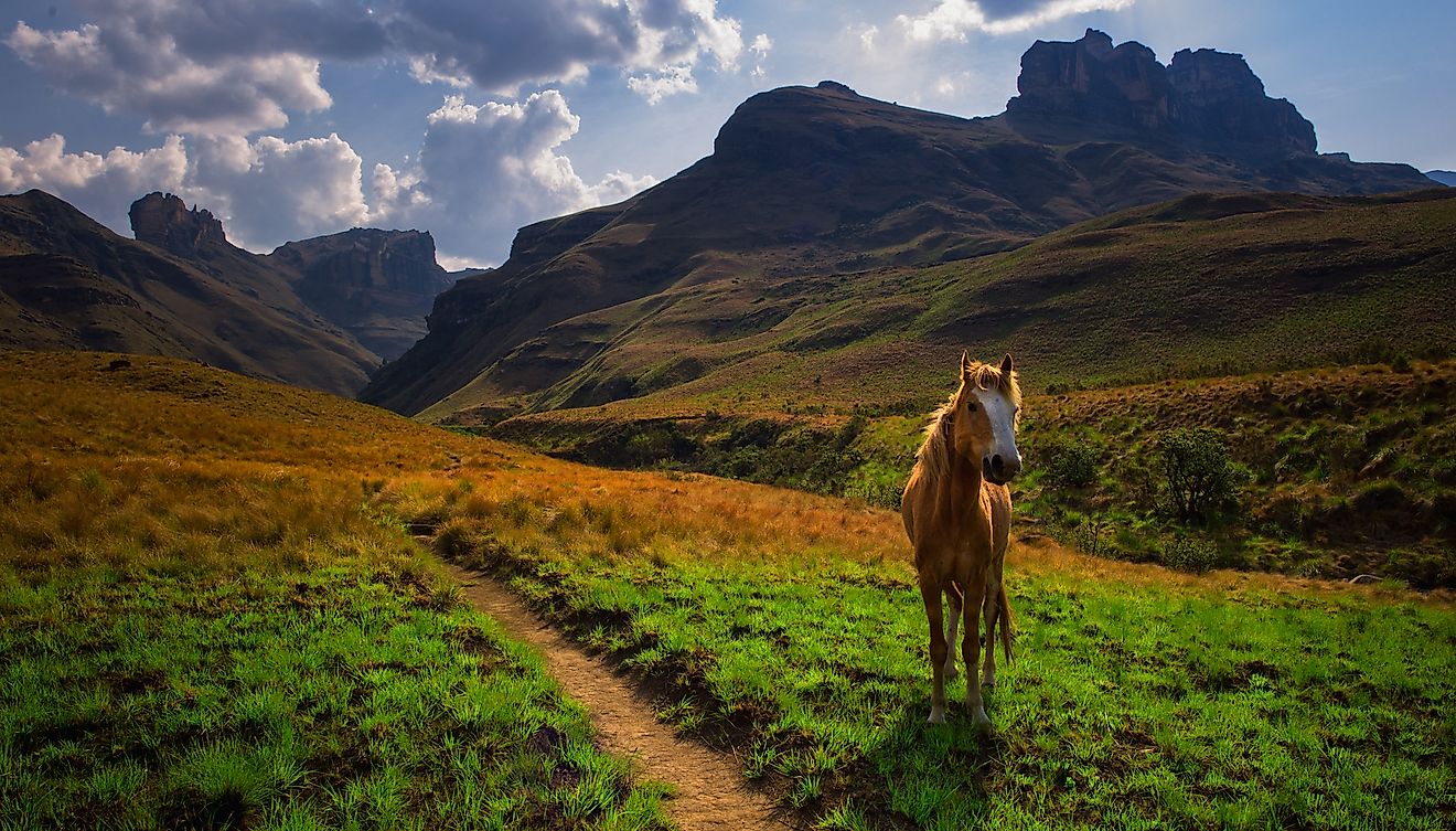 10-little-known-destinations-in-south-africa-that-everyone-must-see