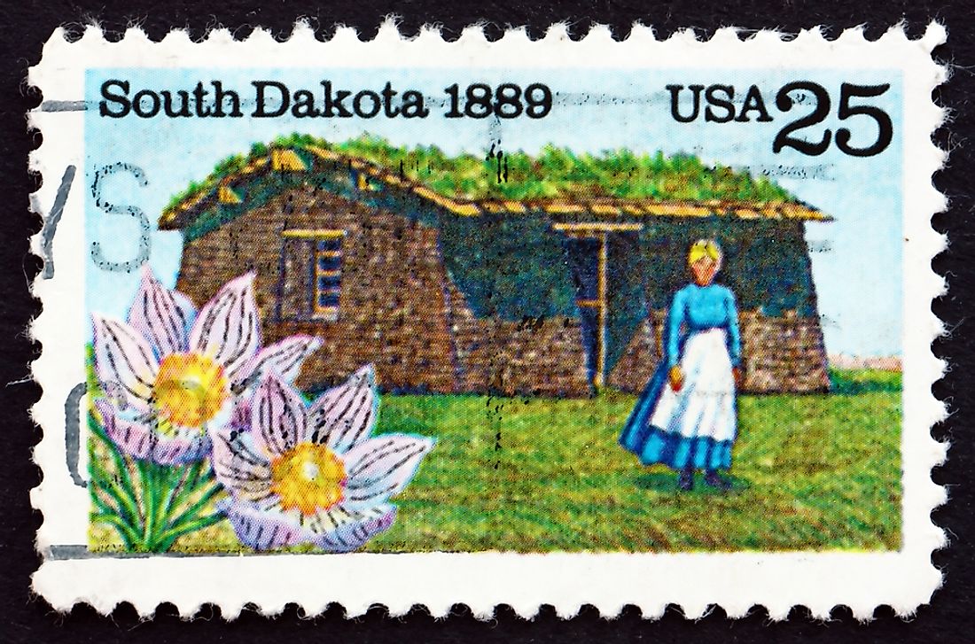 What Is The State Flower Of South Dakota Worldatlas