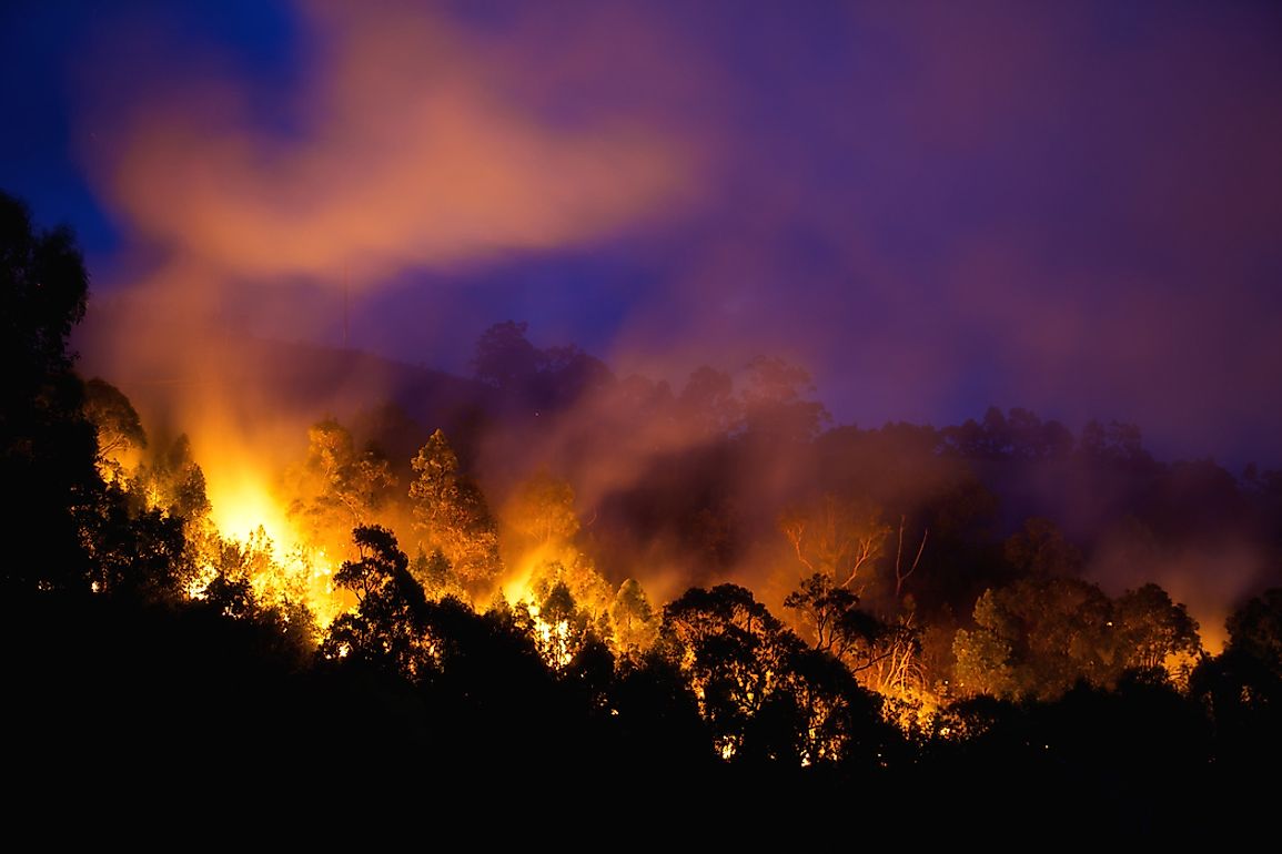 Largest Wildfires In The World - WorldAtlas