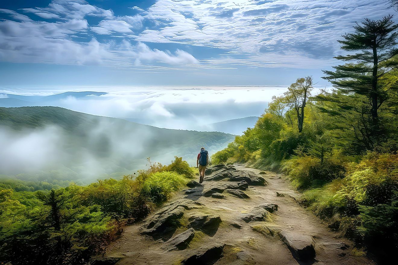 5 Must-Do Summer Mountain Hikes in the Southern Appalachians