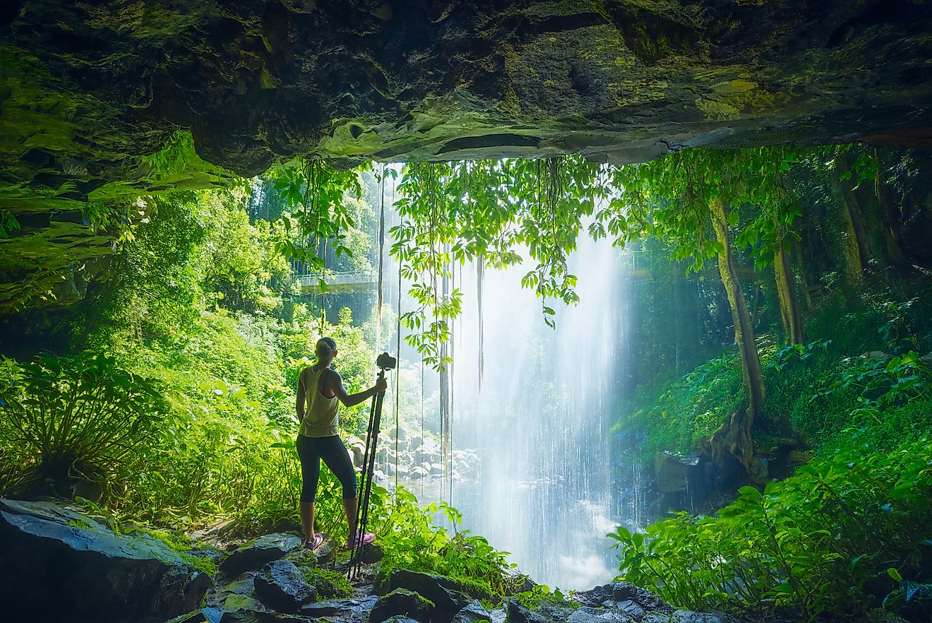 Gondwana Rainforests - WorldAtlas