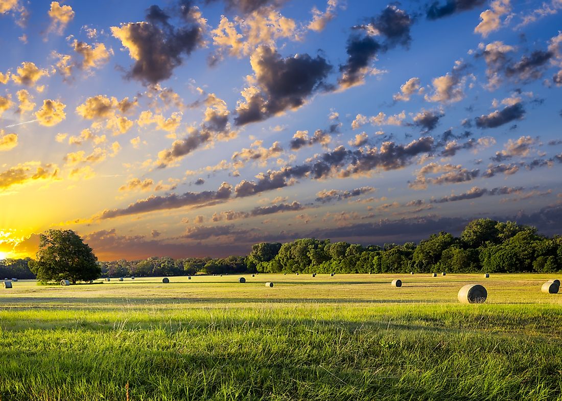 10-us-states-with-the-highest-number-of-farms-worldatlas