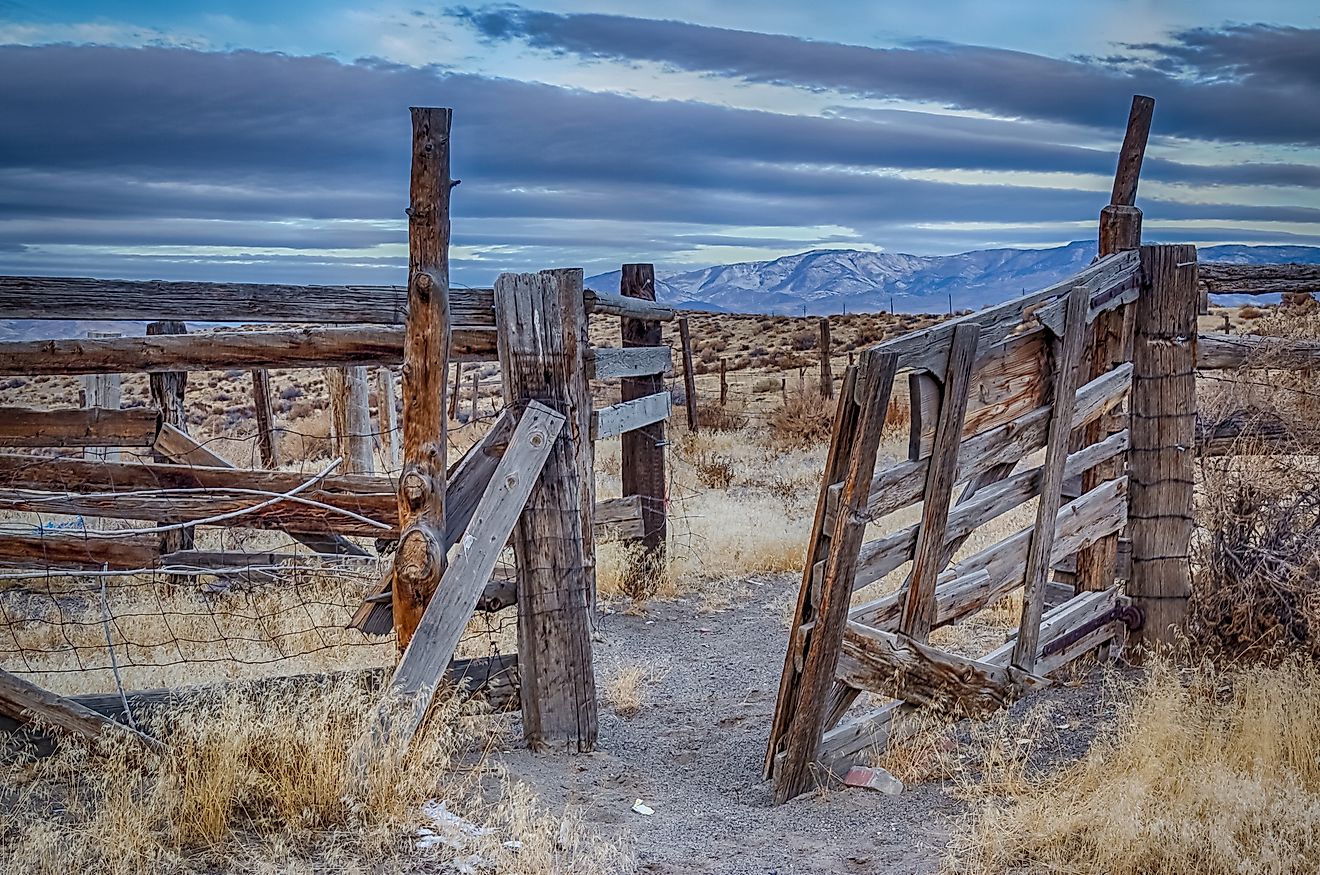 Fernley, Nev Adult Picture