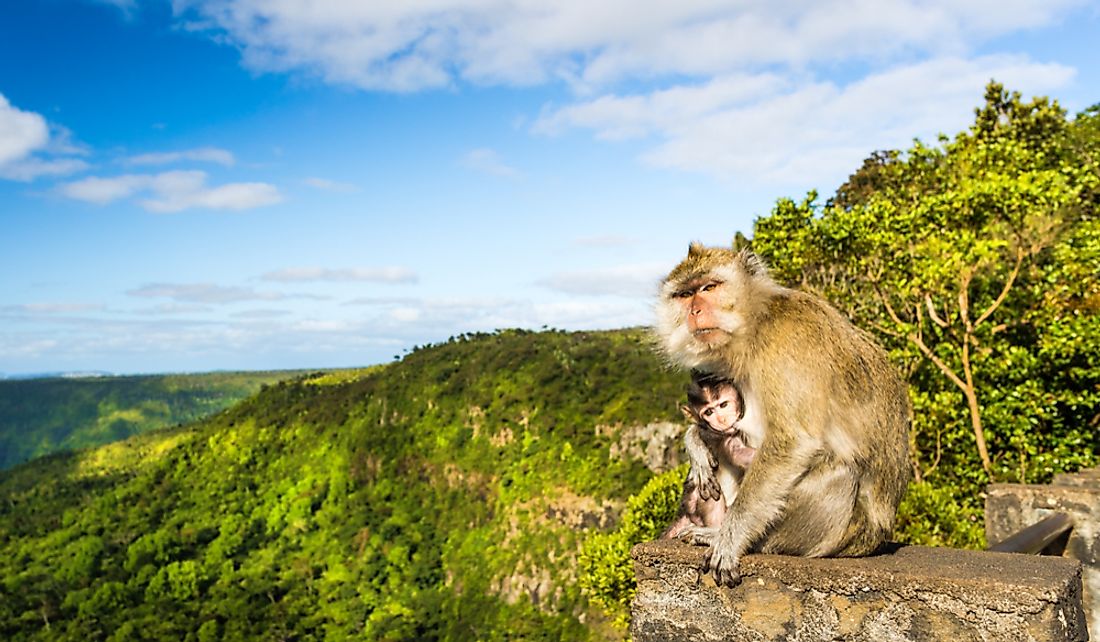 The Three Beautiful National Parks Of Mauritius - WorldAtlas