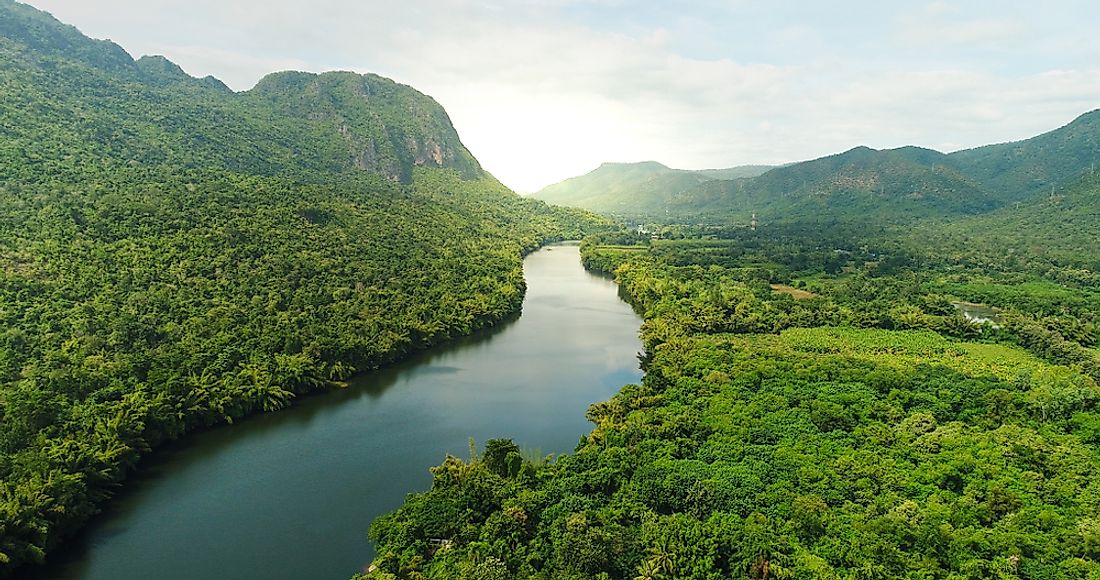 What Are The Three Main Types Of Forests Based On Latitutde? - WorldAtlas