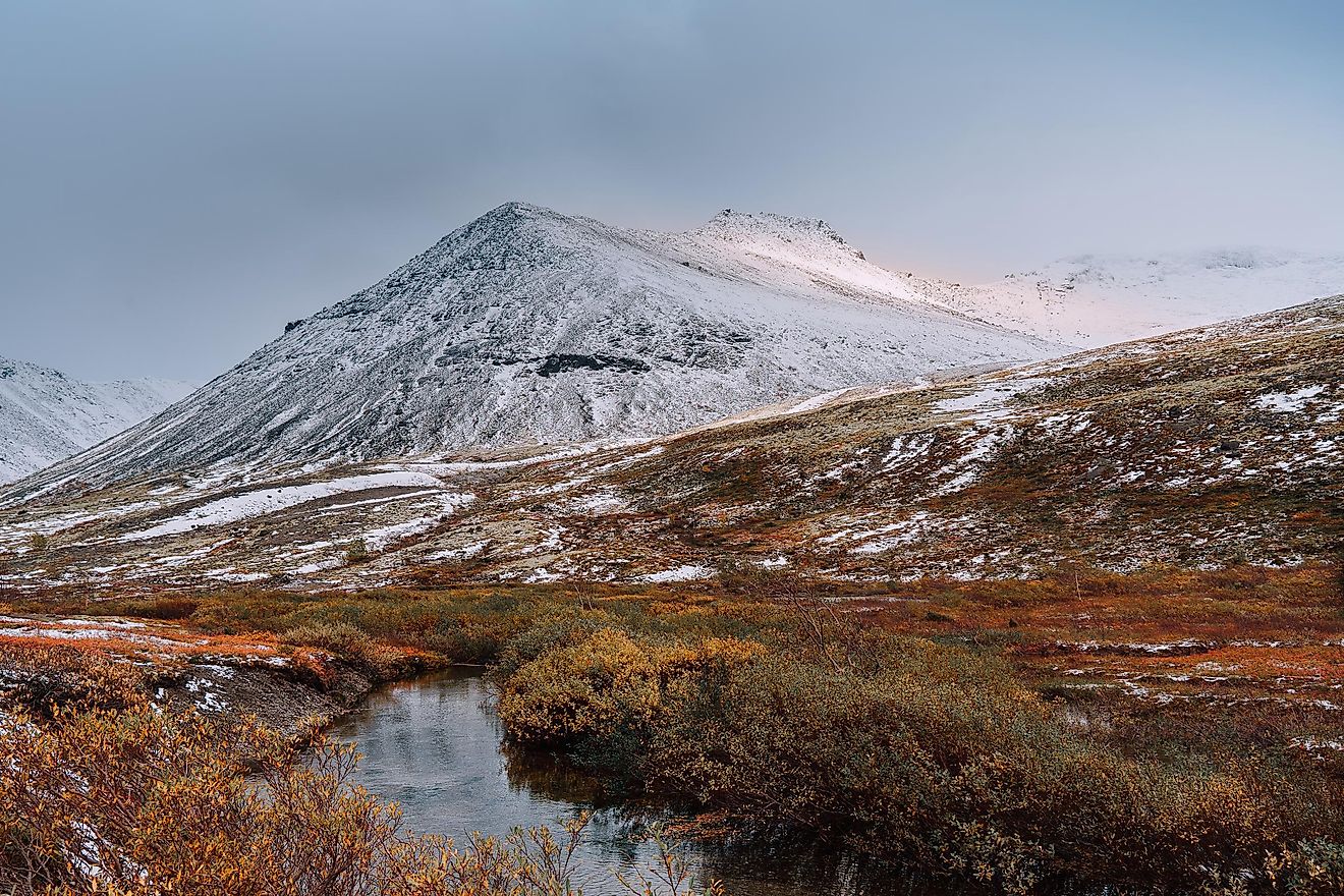 how-do-populations-survive-in-the-tundra-worldatlas