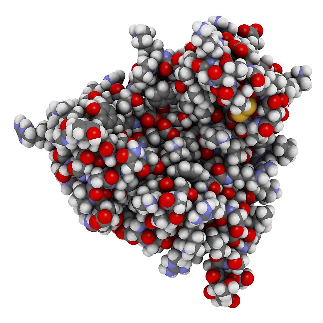 What Is The Sweetest Substance In The World WorldAtlas