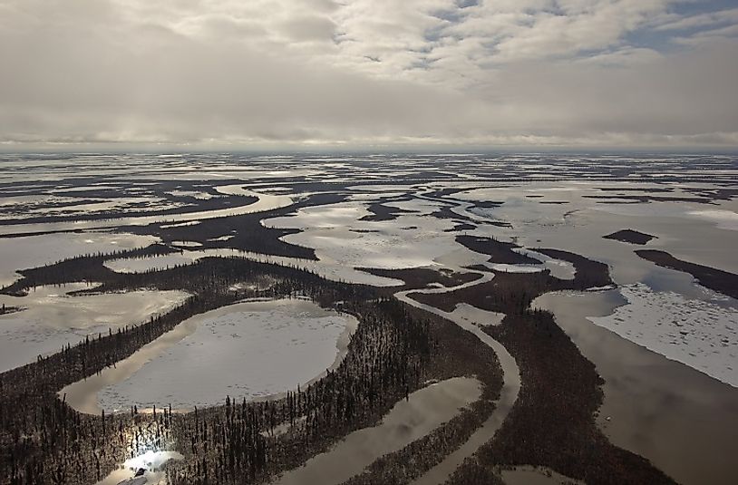 Where Is The Mackenzie River   Mackenzie River Delta 