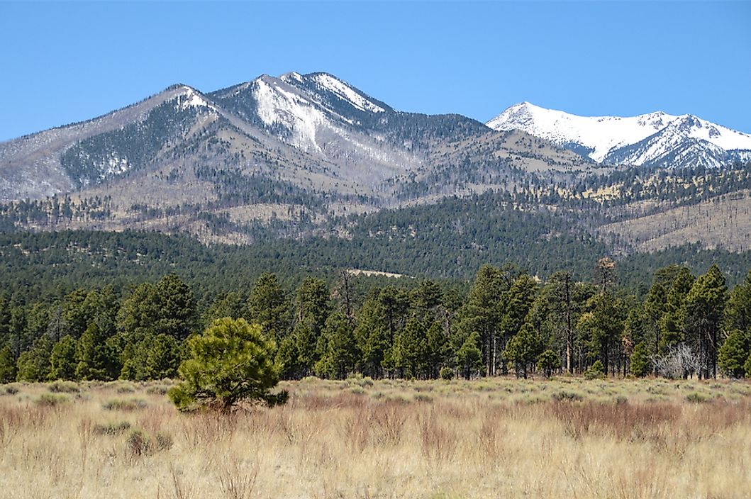 The 10 Tallest Peaks In Arizona Worldatlas