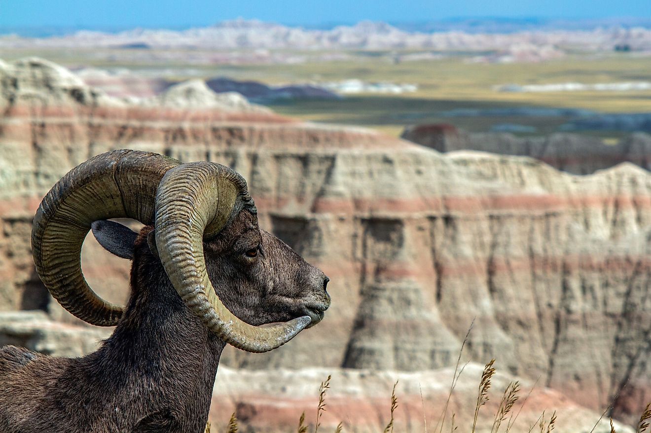 Badlands National Park, South Dakota - WorldAtlas