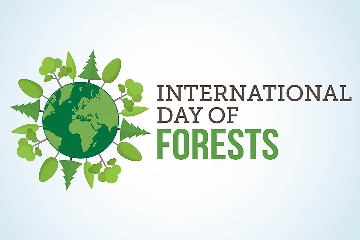 When and Why is International Day of Forests Celebrated? WorldAtlas