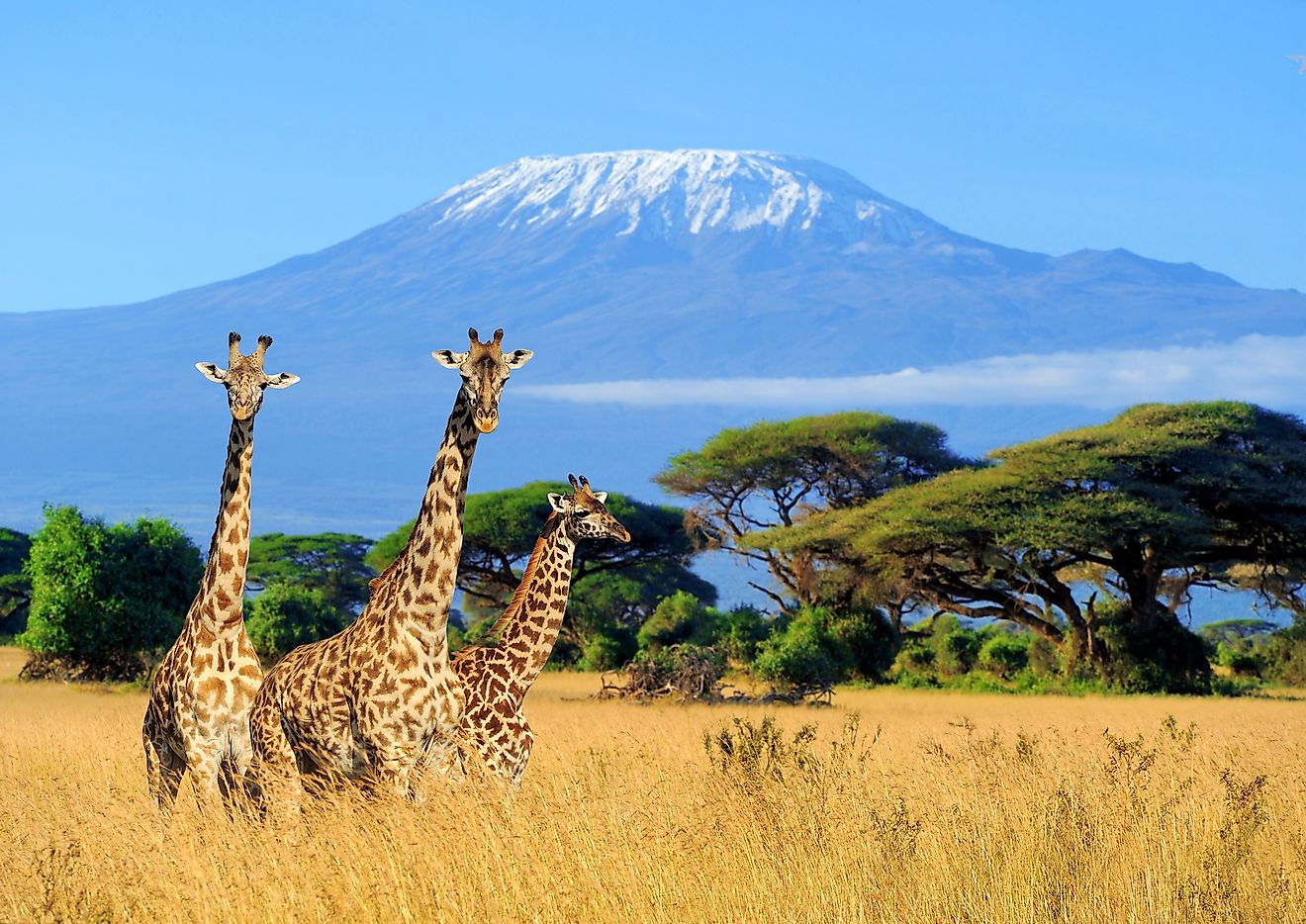 Mount Kilimanjaro - WorldAtlas