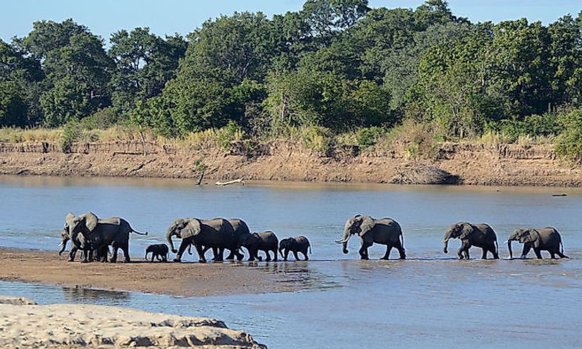 zambia-s-top-national-parks-worldatlas