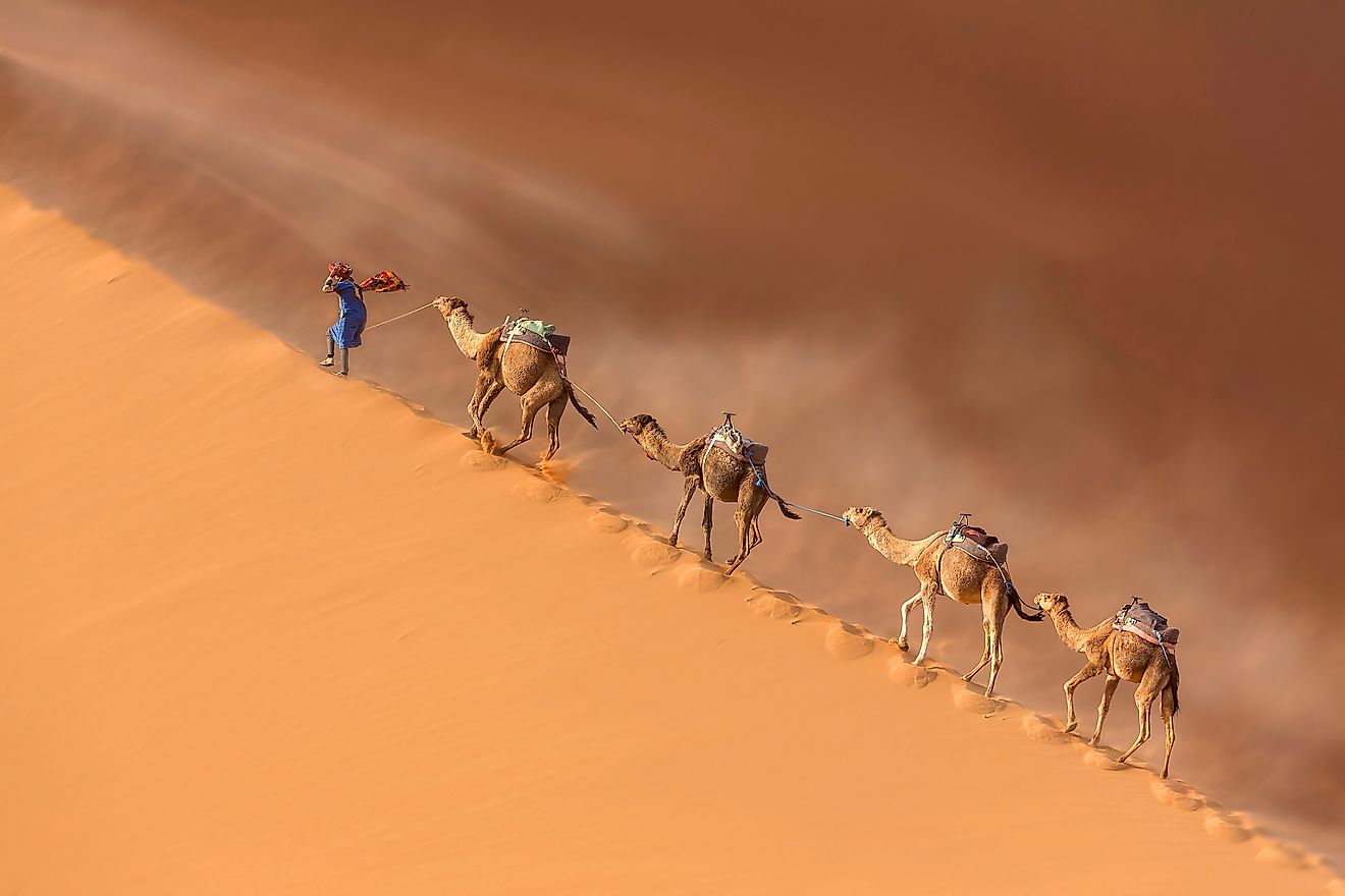 sahara desert climate