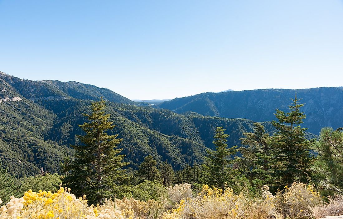 US States With The Most National Forests WorldAtlas   Shutterstock 403238089 