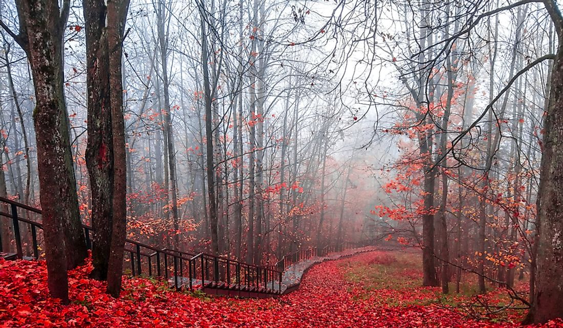 what-is-the-difference-between-fog-and-mist-worldatlas