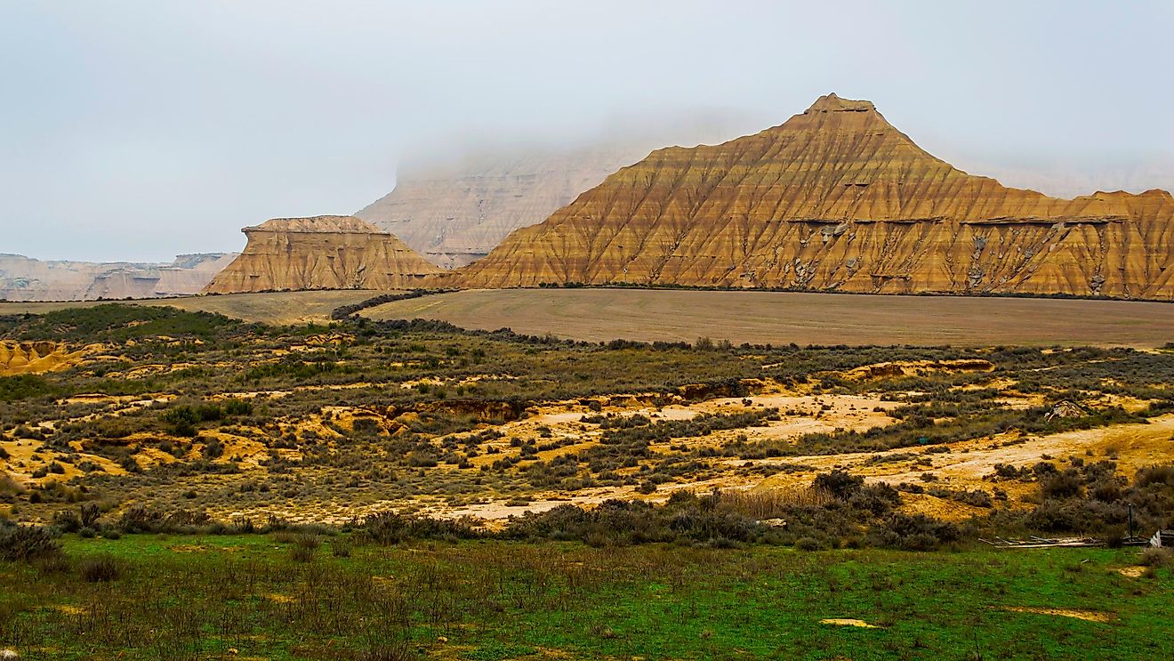 What Is The Semi Arid Desert Biome WorldAtlas