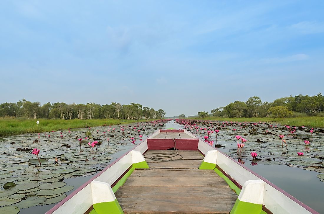 what-is-a-ramsar-wetland