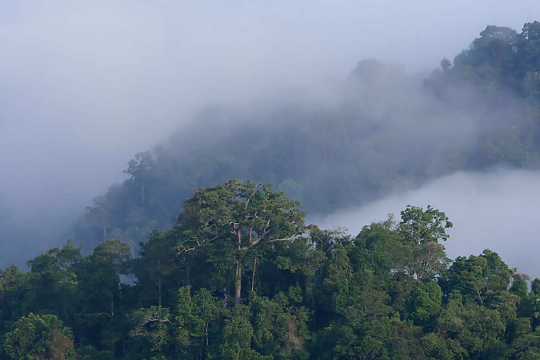 what-type-of-climate-does-ecuador-have-worldatlas